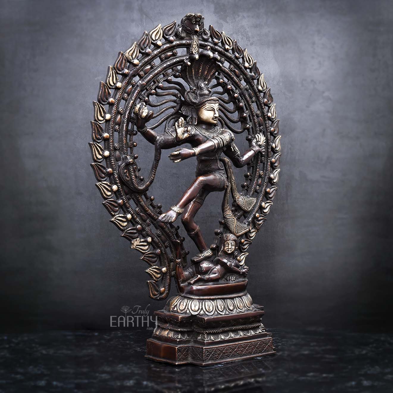 Brass Natraj Statue - Antique Finish - Image 4