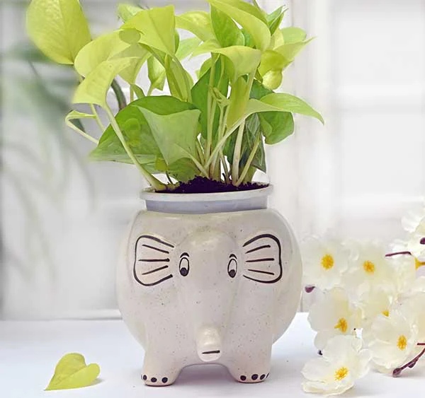 Appu The Elephant Ceramic Planter (Without Plant) - Image 3