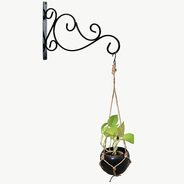 Arched Wall Hook - Image 3