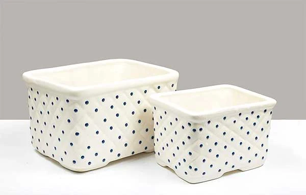 Basket Rectangle Pot / Bonsai Tray- Set of 2(Without Plant) - Image 4