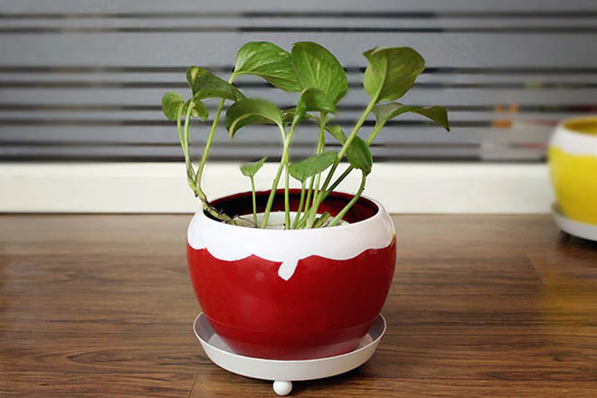 Elegant Metal Planter with a Saucer (without Plant) - Image 3