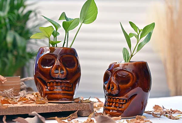Exclusive Ceramic Human Skull Planter Pot - Set of 2 (Without Plant) - Image 3