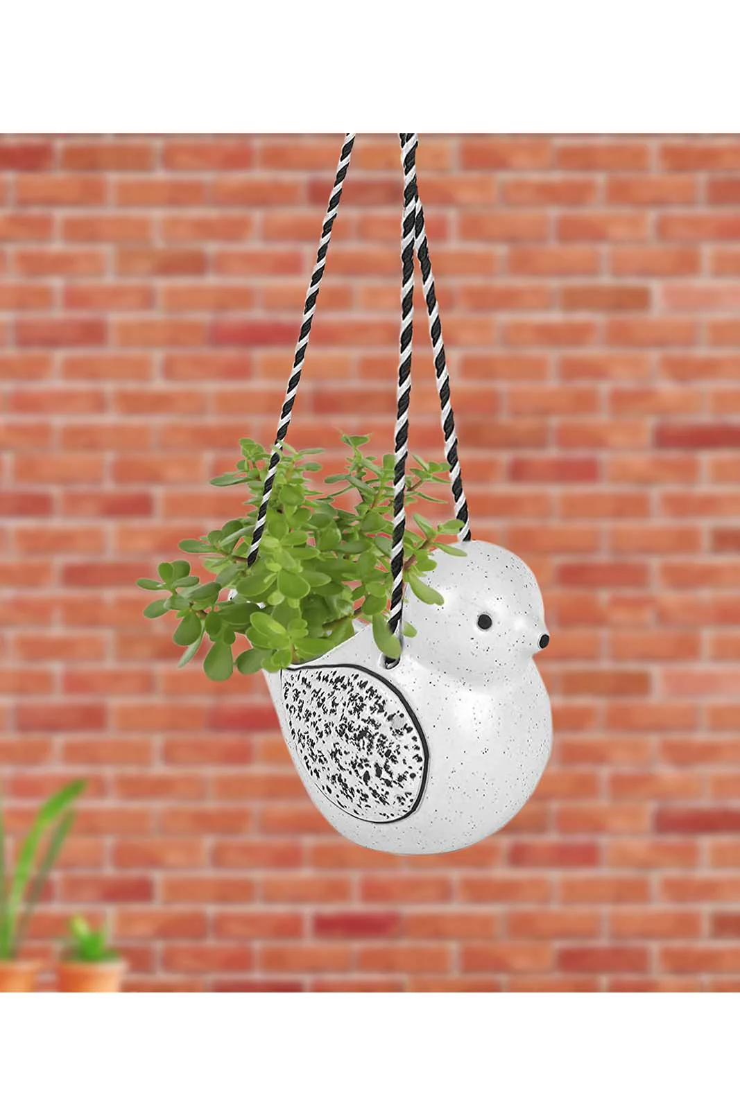 Hanging Bird Ceramic Planter (without Plant) - Image 4