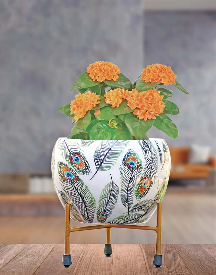 Peacock Feather Metal Planter (without Plant)